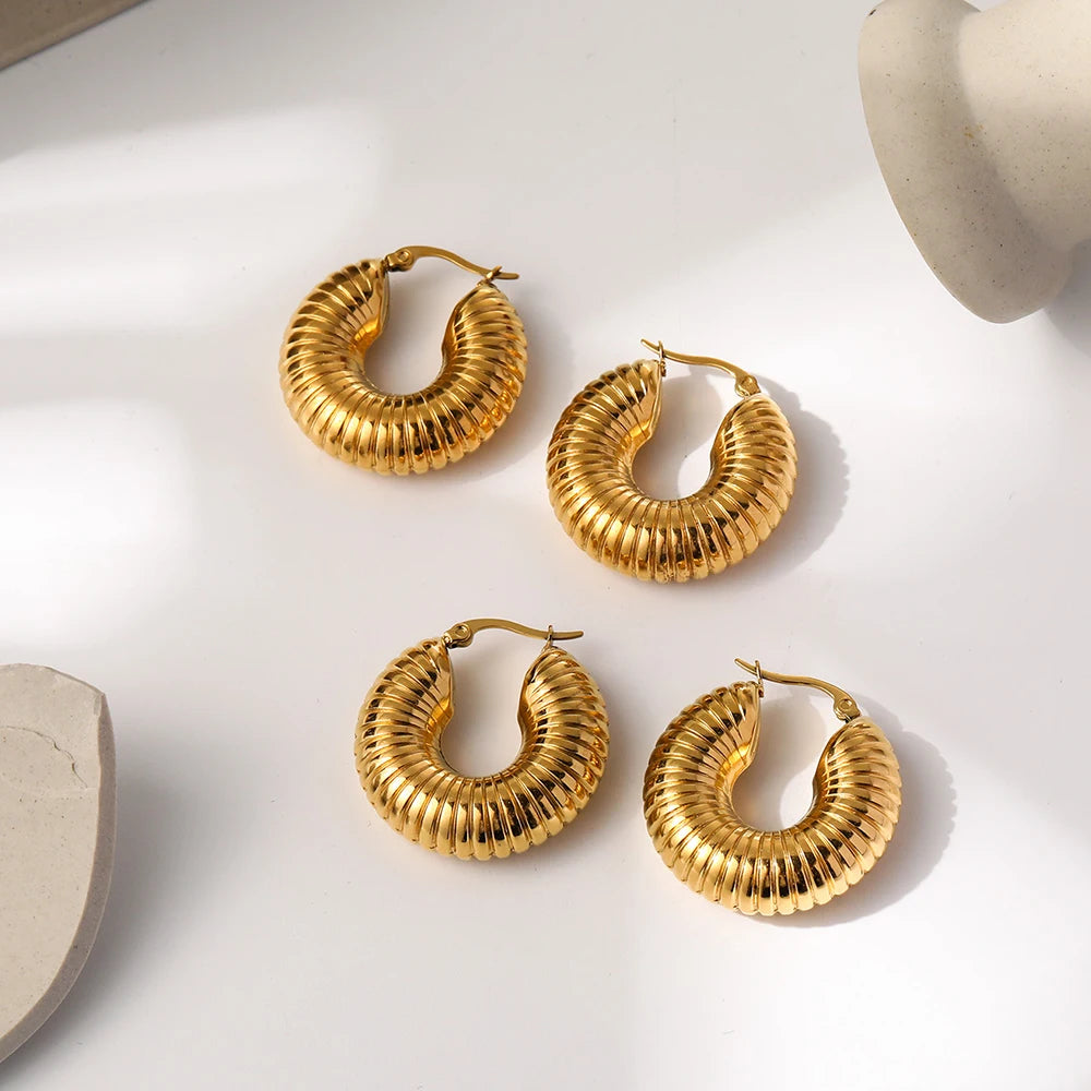 WILD & FREE 18K Gold Plated Smooth Stainless Steel Hoop Earrings for Women Punk Metal Designer Trendy Jewelry