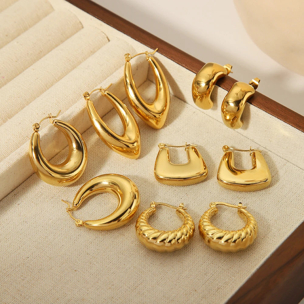 WILD & FREE 18K Gold Plated Smooth Stainless Steel Hoop Earrings for Women Punk Metal Designer Trendy Jewelry