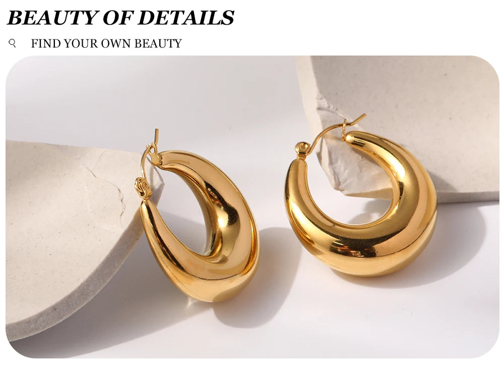 WILD & FREE 18K Gold Plated Smooth Stainless Steel Hoop Earrings for Women Punk Metal Designer Trendy Jewelry