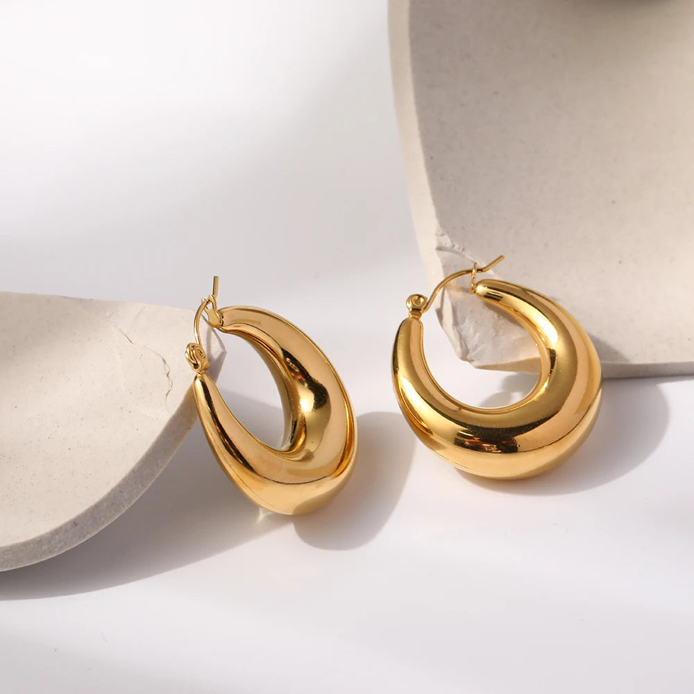 WILD & FREE 18K Gold Plated Smooth Stainless Steel Hoop Earrings for Women Punk Metal Designer Trendy Jewelry