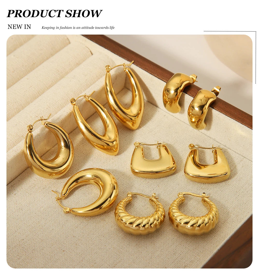 WILD & FREE 18K Gold Plated Smooth Stainless Steel Hoop Earrings for Women Punk Metal Designer Trendy Jewelry