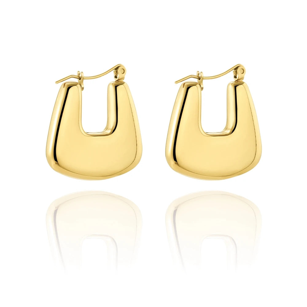 WILD & FREE 18K Gold Plated Smooth Stainless Steel Hoop Earrings for Women Punk Metal Designer Trendy Jewelry