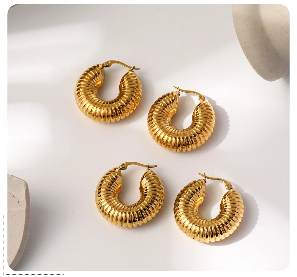 WILD & FREE 18K Gold Plated Smooth Stainless Steel Hoop Earrings for Women Punk Metal Designer Trendy Jewelry