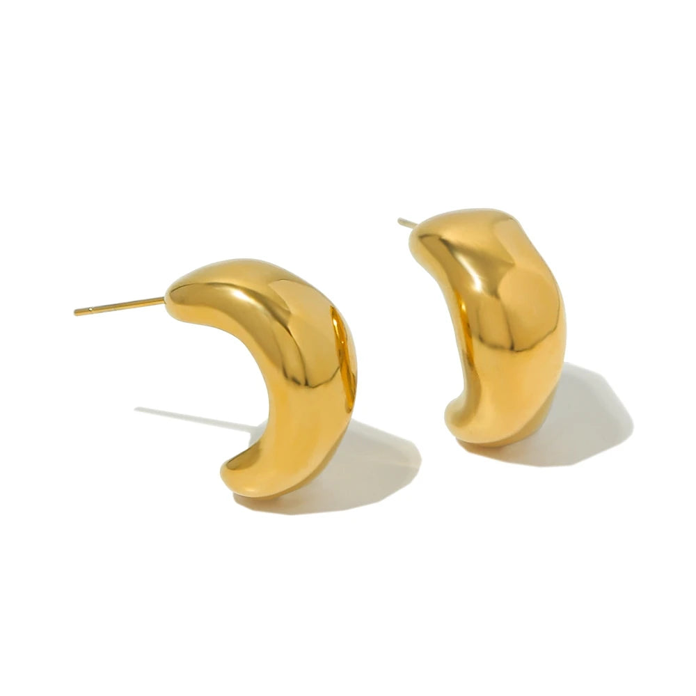 WILD & FREE 18K Gold Plated Smooth Stainless Steel Hoop Earrings for Women Punk Metal Designer Trendy Jewelry