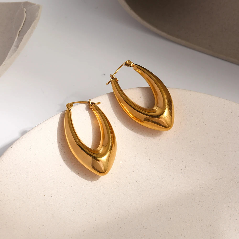 WILD & FREE 18K Gold Plated Smooth Stainless Steel Hoop Earrings for Women Punk Metal Designer Trendy Jewelry