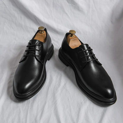 Pointy Toe Good Looking Men Dress Shoes Oxfords Lace Up Classic