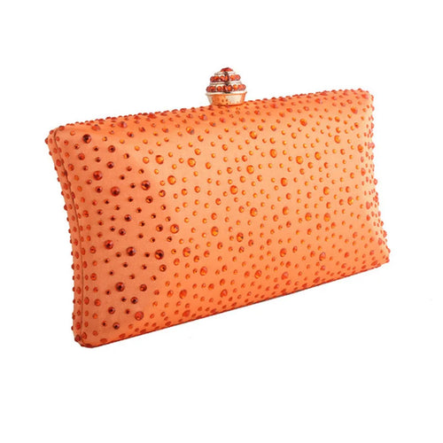 Gold   Clutch purse for Women