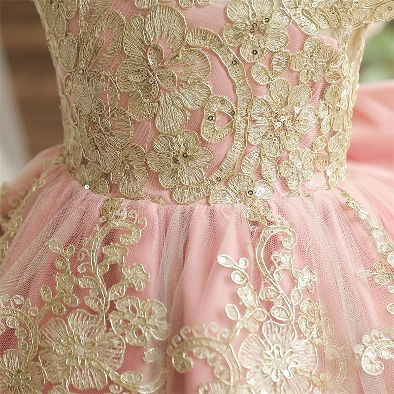 Embroidery Elegant Kids Princess Dresses for Girls Luxury Golden Lace